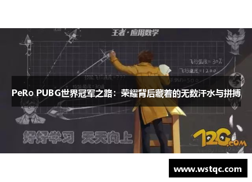 PeRo PUBG世界冠军之路：荣耀背后藏着的无数汗水与拼搏